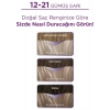 Palette 12-21 Gümüş Sarı Saç Boyası