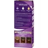 Palette Saç Boyası 5-68 Kestane Saç Boyası