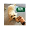 Pamuklu ve Doğa Dostu Örgü Kemik Köpek Oyuncağı