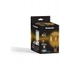 Panasonic E27 Dim Edilebilir Filaman G125 Lamba 7W 630LM 2000K Gold
