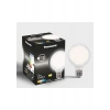 Panasonic Filament Ampul E27 13W 2000LM 6500K Milky