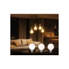 Panasonic Filament Ampul E27 13W 2000LM 6500K Milky