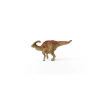 Parazorolopus