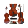 Parlak Keman Seti, 4/4 Yetişkin Kemanı ile Tam Set