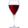 Paşabahçe 440309 Veneto Şampanya Bardağı, 600 Ml, 6lı