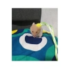 Patentli Hamster Gezdirme Tasması - Dolaştırma İçin