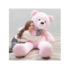 Pembe Peluş Ayı, 120 cm Boyutunda Sevimli Hediye