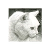 Pigma Micron 05 Siyah Kalem, 0.45 mm, Sanat İçin
