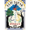 Pinhan - Elif Şafak