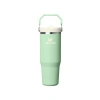 Pipetli Tumbler, 0.89 Litre Kapasite, Şık Yeşil Tasarım