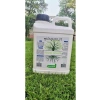 plant root 5 litre