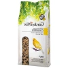 Platin Kanarya Yemi Garden Mix 500g Besleyici Karışım