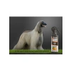 Portakal Aromalı Köpek Bakım Spreyi - 75 ml