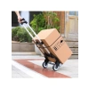 Portatif Koli Taşıma Aracı, 70 Kg Kapasite