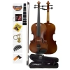 Profesyonel 4/4 Keman Seti, Yastık ve Susturucu Dahil