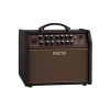 Profesyonel Akustik Gitar Amplifikatörü, 60 W Güç