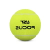 Profesyonel Antrenman Tenis Topu - Yün Keçe Dış Yüzey