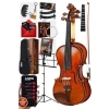 Profesyonel Kalite Gül Ağacı Keman, 4/4 Tam Boy