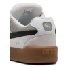 Puma Park Lifestyle Sk8 Beyaz Erkek Sneaker
