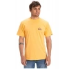 Quiksilver Ev Mini Logo Ss Erkek Spor Tişört EQYZT08042