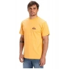 Quiksilver Ev Mini Logo Ss Erkek Spor Tişört EQYZT08042
