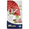 Quinoa İçeren Tahılsız Kedi Maması, Sağlıklı Seçenek