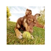 Renkli Desenli Tenis Topu - 3lü Set, Kedi & Köpek Oyuncağı