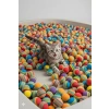 Renkli Zıplayan Kedi Oyuncağı Seti - 50li Sünger Top Kova
