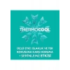 Rexona Thermocool Kadın Sprey Deodorant Eucalyptus & Magnolia 150 ml