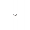 Rode Sc4 3.5Mm Trss Erkek <-> Trs Patch Cable -
