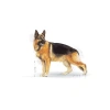 Royal Canin German Shepherd Adult Köpek Maması, 11 Kg
