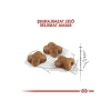Royal Canin Kitten Yavru Kedi sı 10 Kg