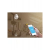 S-Link Swapp SL-EG02 Akıllı Ev Güvenliği Kablosuz Hareket Sensörü Wifi Tuya Destekli