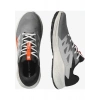 Salomon Alphaglide Gore-Tex Erkek Koşu Ayakkabısı