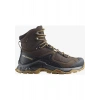 Salomon Quest Element GTX Erkek Botu L47216100