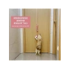Sarı İnteraktif Kedi Oyuncağı - Peluş Top, Zil ve Elastik Yay Detaylı Egzotik Oyun