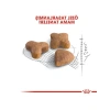 Sensible 33 Kedi Maması, 2 kg Hassas Sindirim İçin Özel Formül
