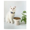 Seramik Kedi Ve Köpek Mama Su Kabı YEŞİL EBRU