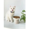 Seramik Kedi Ve Köpek Mama Su Kabı YEŞİL EBRU