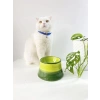 Seramik mama su kabı, renkli tasarım, kedi ve köpekler için