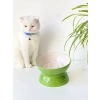 Seramik Yavaş Yeme Kedi Mama Kabı, Yeşil Renk