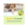 Sert Peynirli Tahılsız Kedi Atıştırmalığı, 425 g Paket