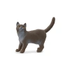 Sevimli British Shorthair Kedi Oyuncak Figür