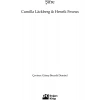 Şifre - Camilla Läckberg-Henrik Fexeus