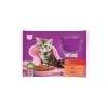 Sığırlı ve Tavuklu Yavru Kedi Konservesi – 4 Adet 85 Gr