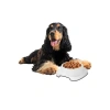 Silikon Kaydırmaz Taban Kedi ve Köpek Mama Kabı, 2 Litre