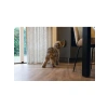 Silikon Yavru Köpek Mama Yeme Oyuncağı, Yeşil, 19 cm