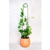 Siyah Metal Destek Çubuğu, 65 cm Uzunlukta, Bitkiler için