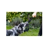 Siyah Renkli 60x13x7cm Diş İpli Köpek Oyuncağı