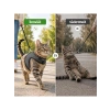Siyah Renkli Nefes Alabilen Kedi Göğüs Tasma - 3lü Set